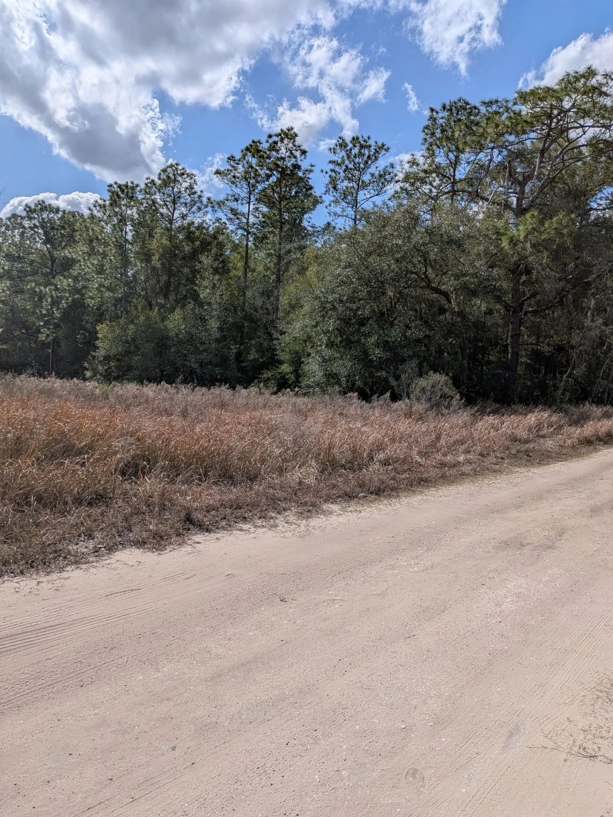 Vacant Corner Residential Lot in Ocala, FL with Adjoining Lot - Image 4