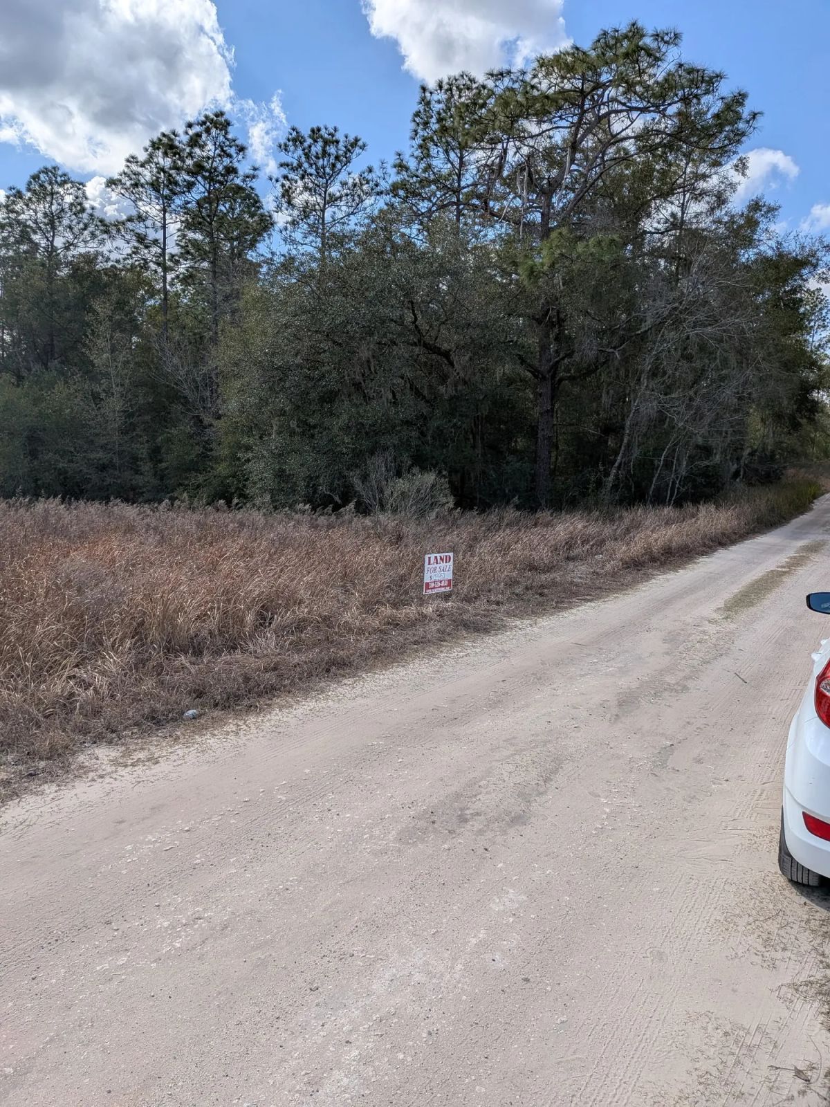 Decorative background for Vacant Corner Residential Lot in Ocala, FL with Adjoining Lot image 5
