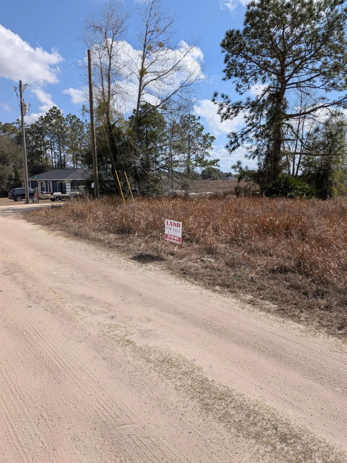 Decorative background for Vacant Corner Residential Lot in Ocala, FL with Adjoining Lot image 6