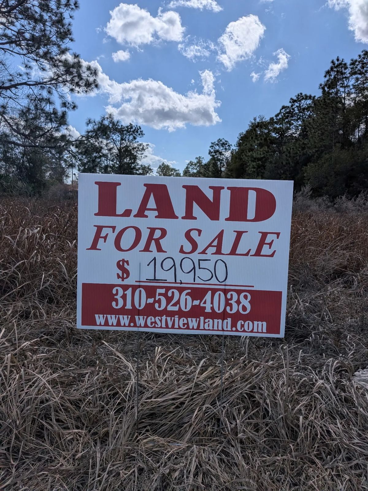 Decorative background for Vacant Corner Residential Lot in Ocala, FL with Adjoining Lot image 7