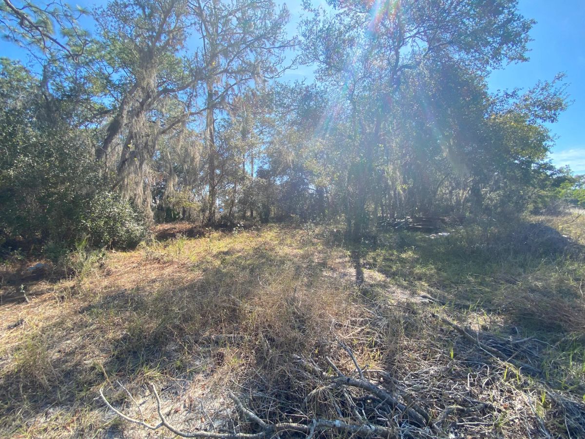 Residential Lot in Poinciana, FL near Lake Marion - Main image