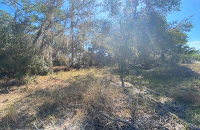 Residential Lot in Poinciana, FL near Lake Marion