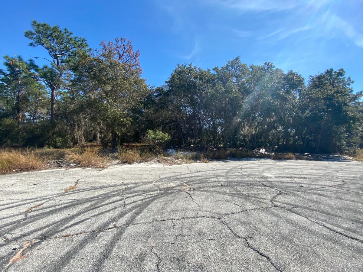 Residential Lot in Poinciana, FL near Lake Marion - Image 2