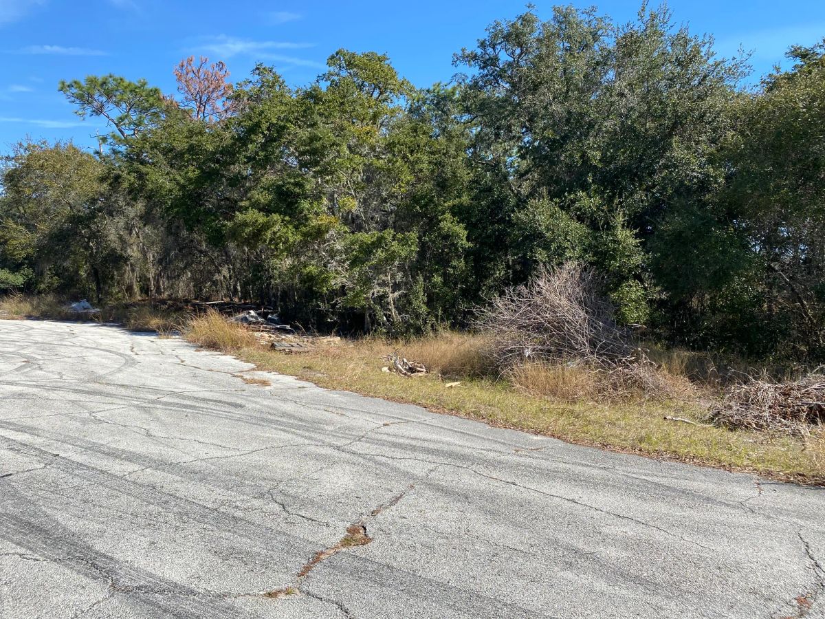 Residential Lot in Poinciana, FL near Lake Marion - Image 3