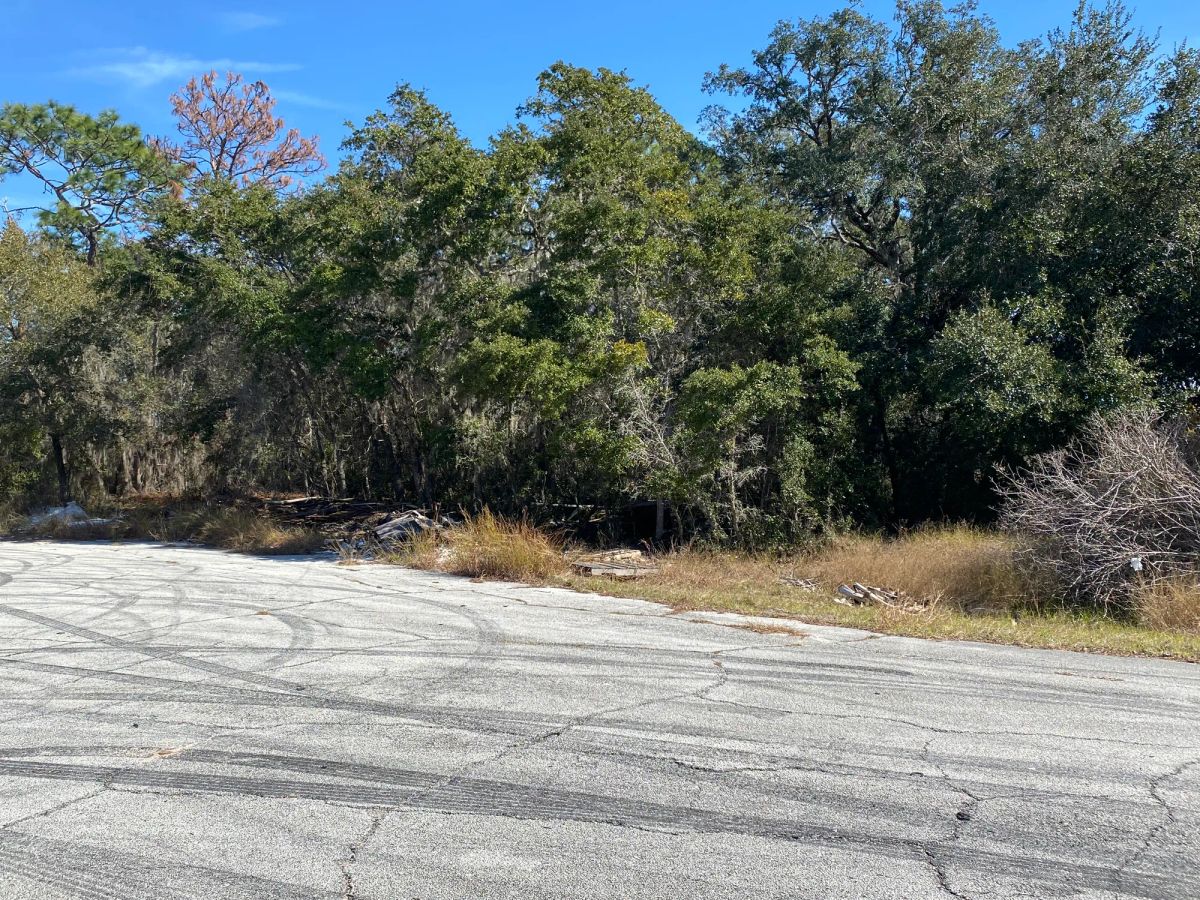 Decorative background for Residential Lot in Poinciana, FL near Lake Marion image 5