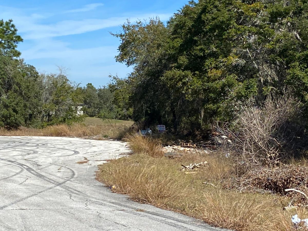 Decorative background for Residential Lot in Poinciana, FL near Lake Marion image 6
