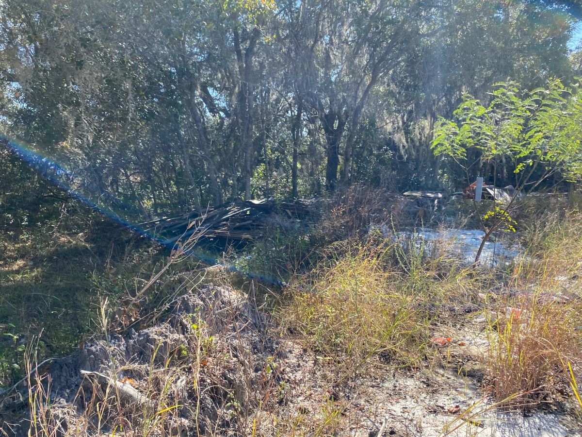 Decorative background for Residential Lot in Poinciana, FL near Lake Marion image 9