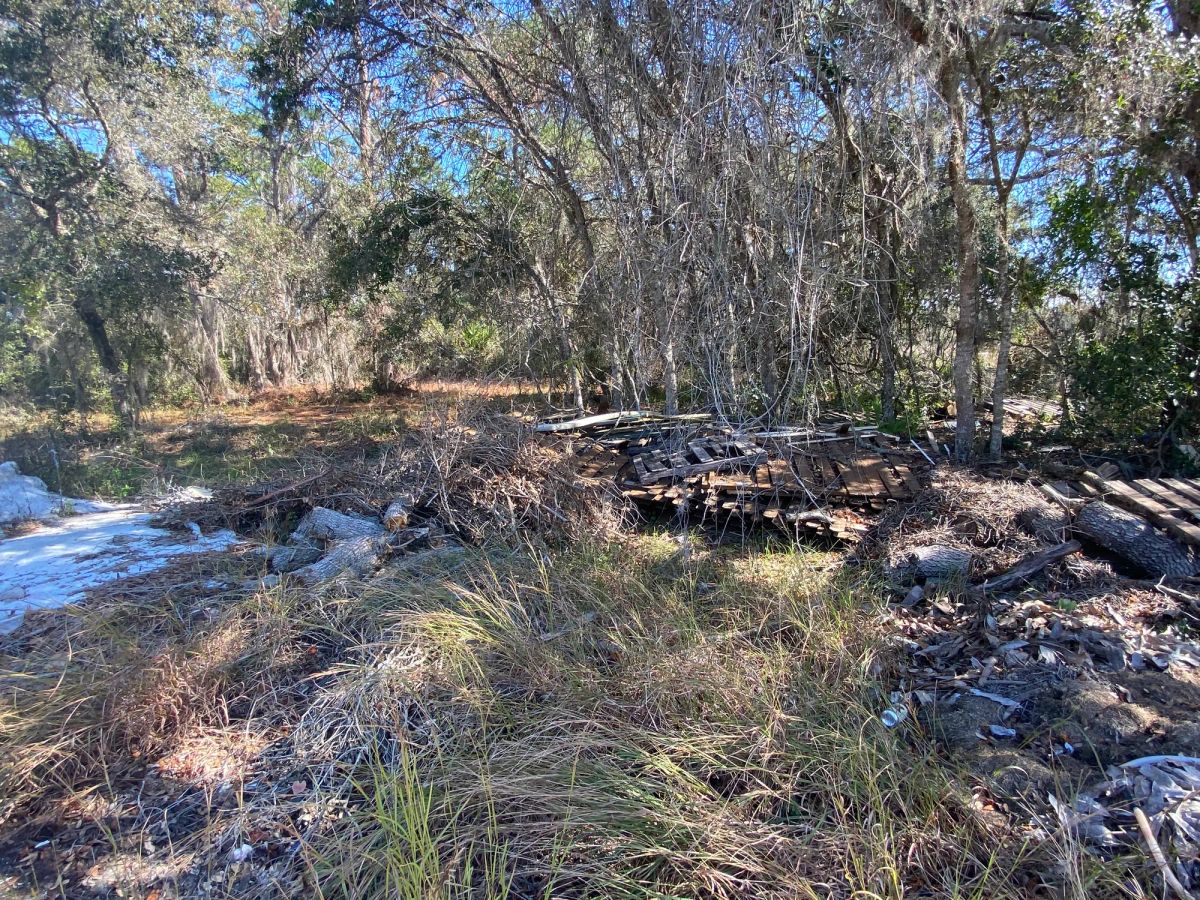 Decorative background for Residential Lot in Poinciana, FL near Lake Marion image 11