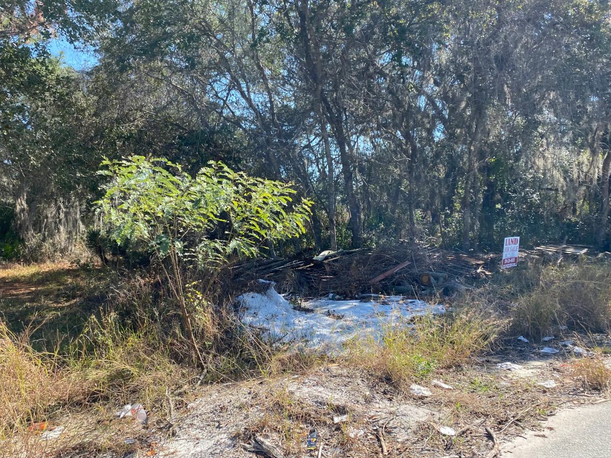 Decorative background for Residential Lot in Poinciana, FL near Lake Marion image 12