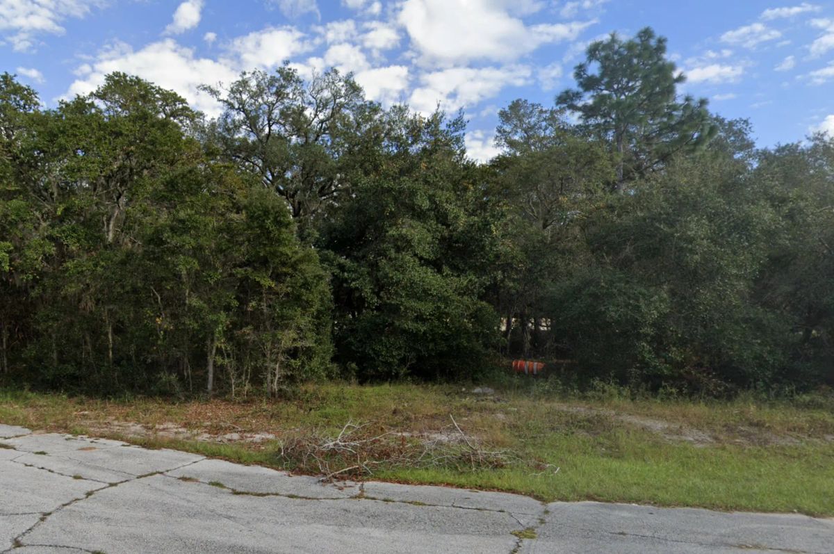 Decorative background for Residential Lot in Poinciana, FL near Lake Marion image 16