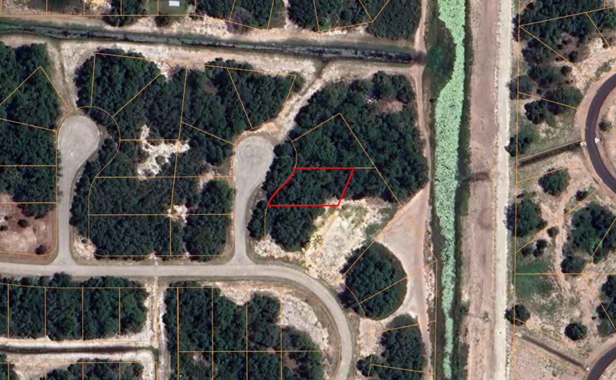Decorative background for Residential Lot in Poinciana, FL near Lake Marion image 17