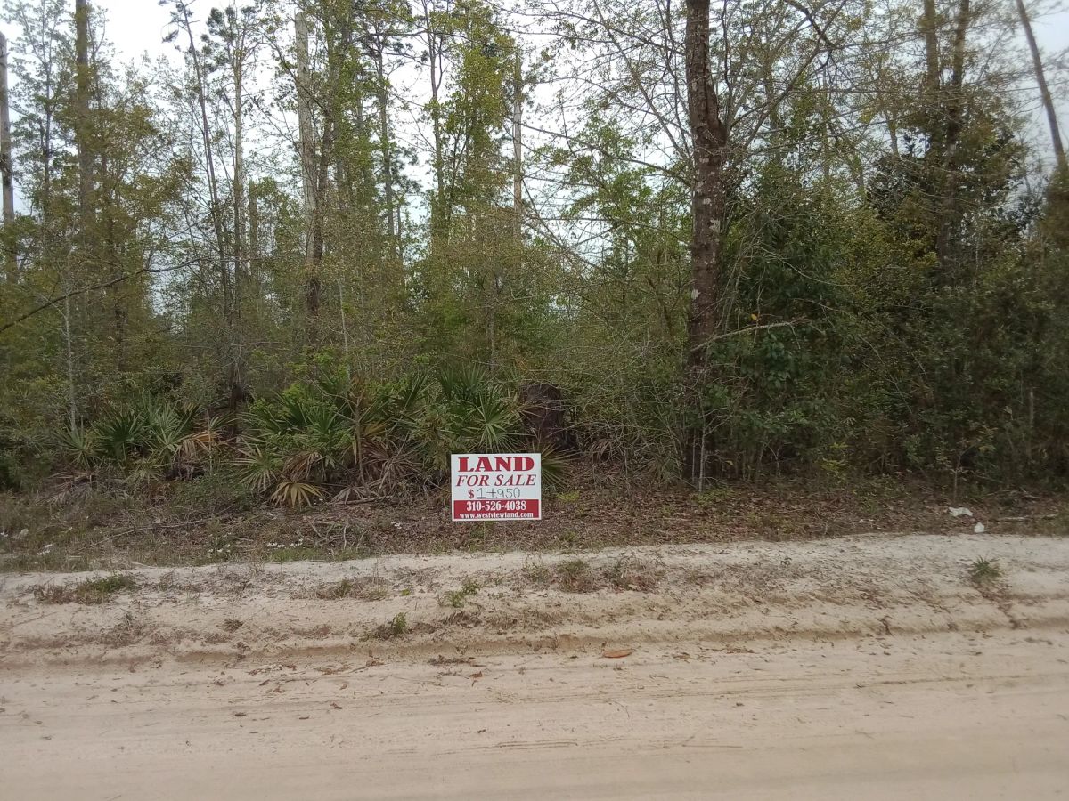 Single Family Residential Double Lot in Fountain, FL - Image 2