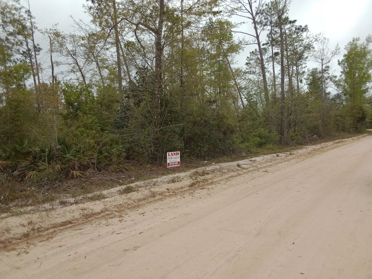 Single Family Residential Double Lot in Fountain, FL - Image 3