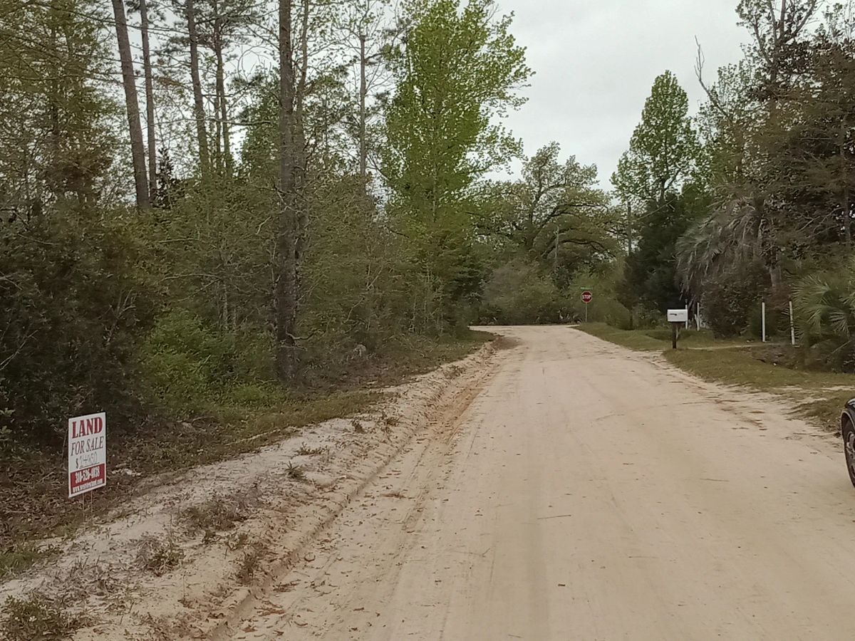 Decorative background for Single Family Residential Double Lot in Fountain, FL image 5