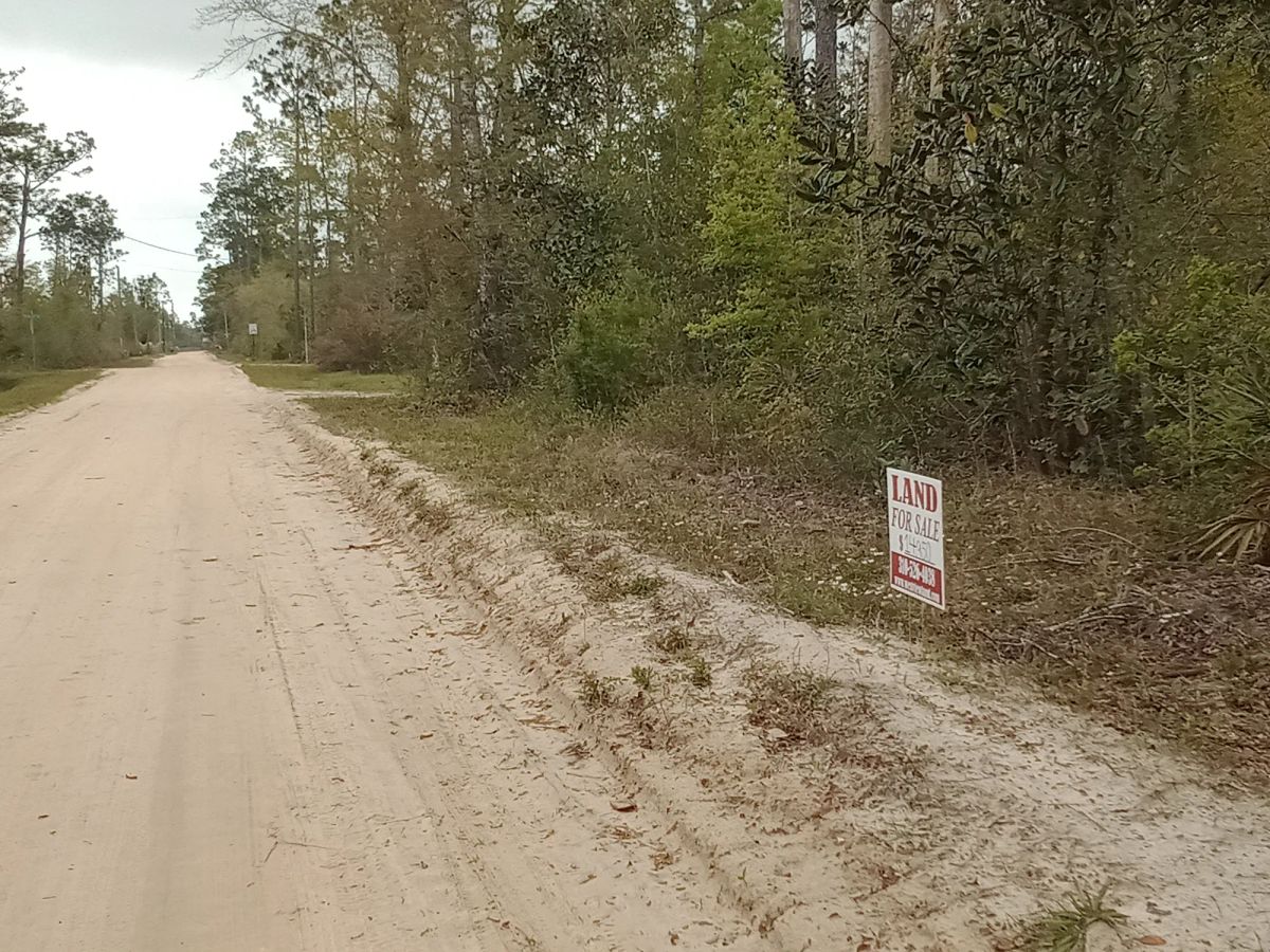 Decorative background for Single Family Residential Double Lot in Fountain, FL image 6
