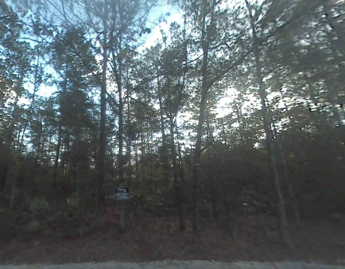 Decorative background for Single Family Residential Double Lot in Fountain, FL image 7