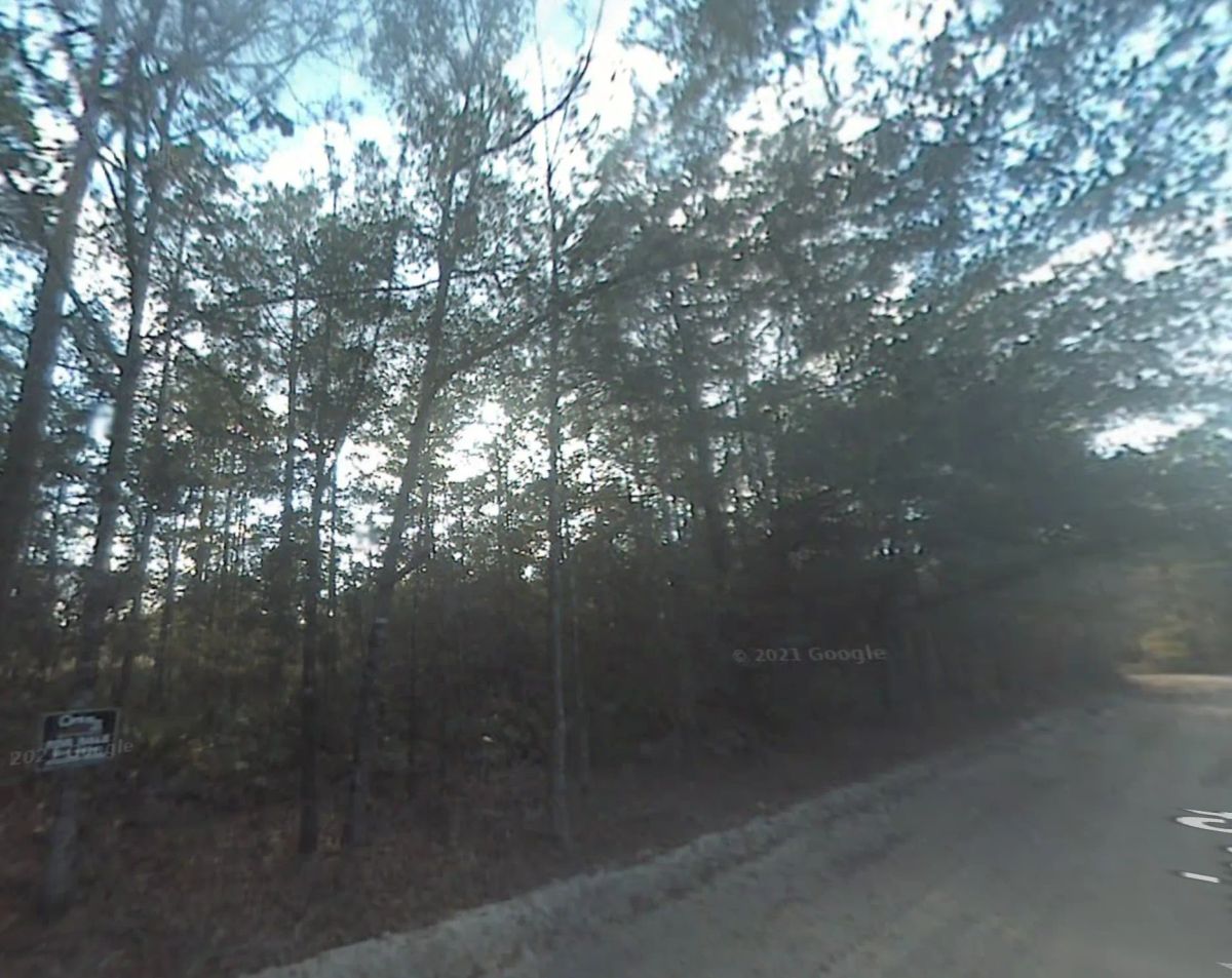 Decorative background for Single Family Residential Double Lot in Fountain, FL image 8