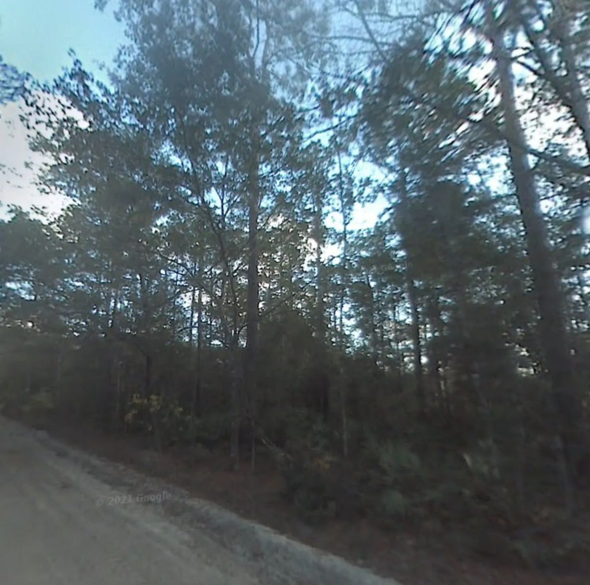 Decorative background for Single Family Residential Double Lot in Fountain, FL image 9