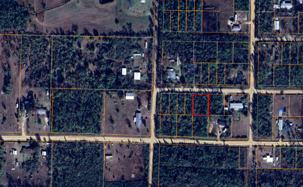 Decorative background for Single Family Residential Double Lot in Fountain, FL image 10