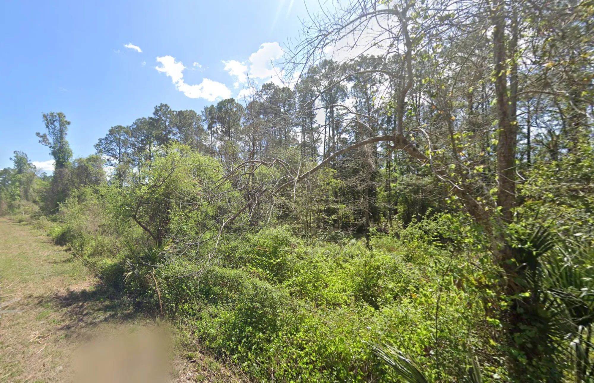 Residential, Undeveloped Lot near Lake in Georgetown, FL