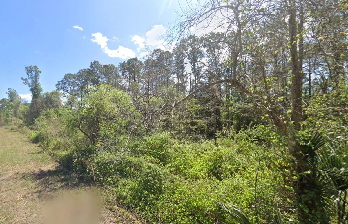 Residential, Undeveloped Lot near Lake in Georgetown, FL - Main image