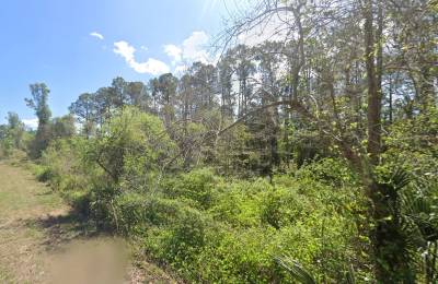 Residential, Undeveloped Lot near Lake in Georgetown, FL