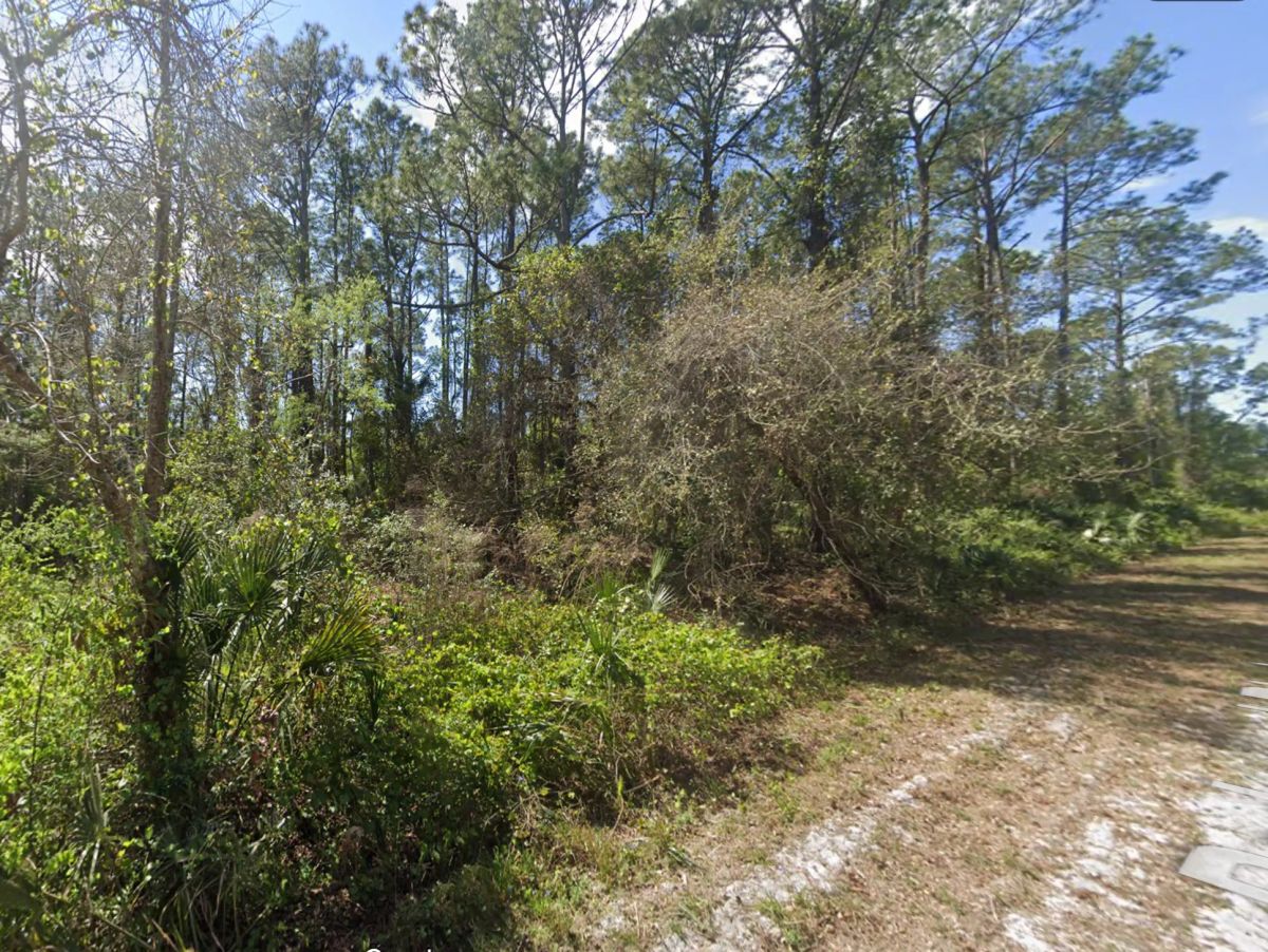 Residential, Undeveloped Lot near Lake in Georgetown, FL - Image 2