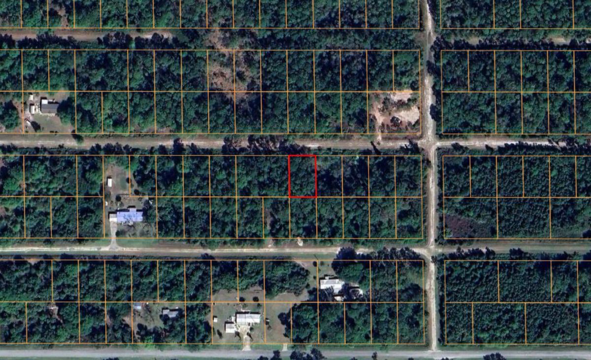 Decorative background for Residential, Undeveloped Lot near Lake in Georgetown, FL image 5