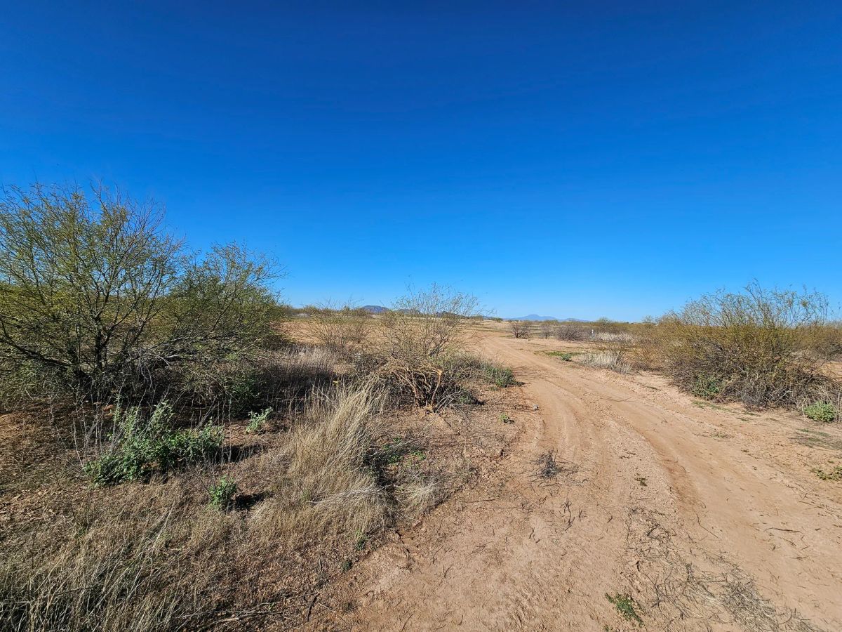 Decorative background for Level, Undeveloped Lot in Arizona City image 18