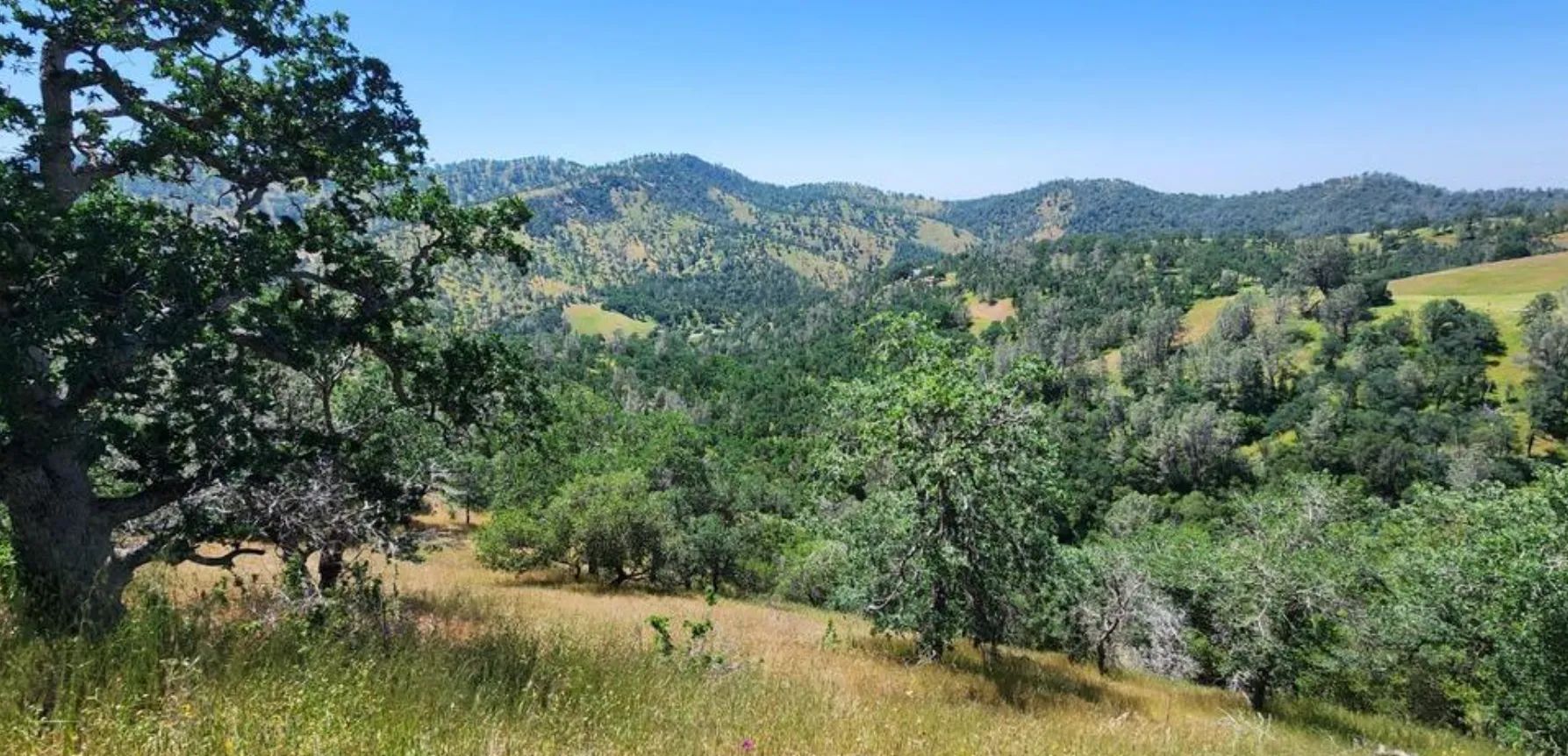39.36 Acres Of Picturesque Land In Coarsegold, CA in Madera County, CA