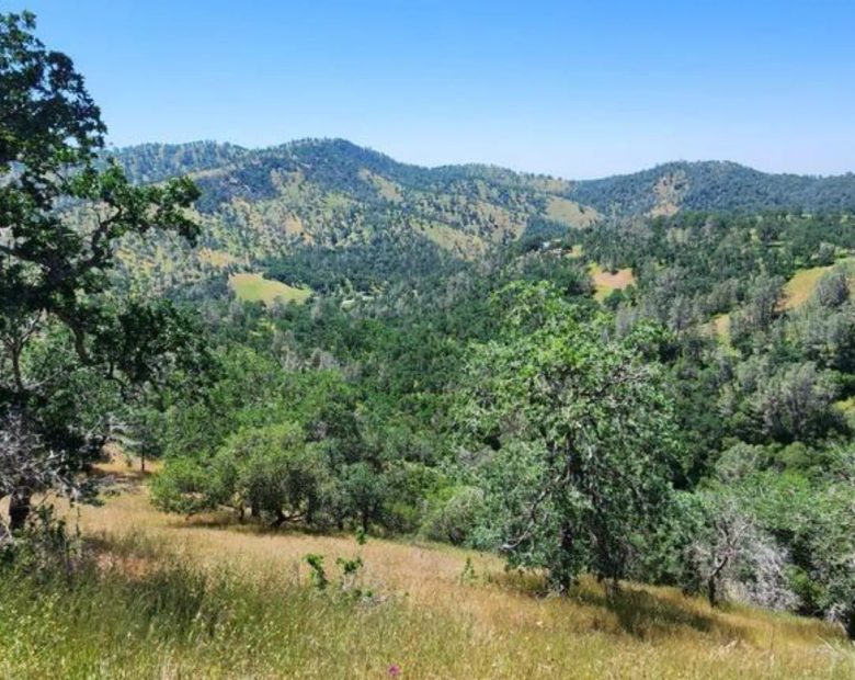 39.36 Acres Of Picturesque Land In Coarsegold, CA in Madera County, CA