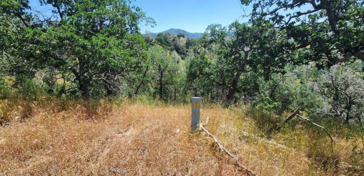 39.36 Acres Of Picturesque Land In Coarsegold, CA - Image 3