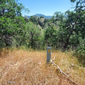 39.36 Acres Of Picturesque Land In Coarsegold, CA in Madera County, CA