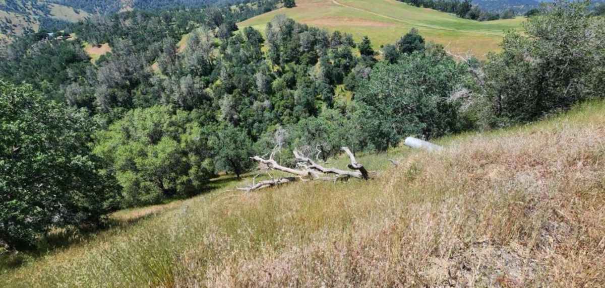 39.36 Acres Of Picturesque Land In Coarsegold, CA - Image 4
