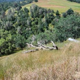 39.36 Acres Of Picturesque Land In Coarsegold, CA in Madera County, CA