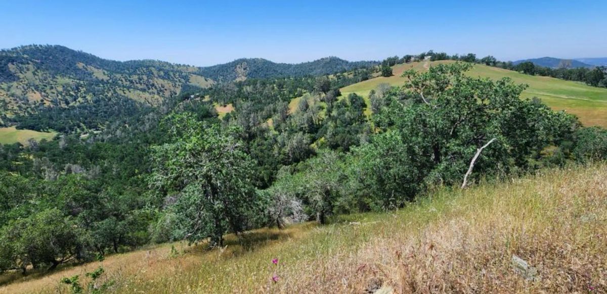 Decorative background for 39.36 Acres Of Picturesque Land In Coarsegold, CA image 5