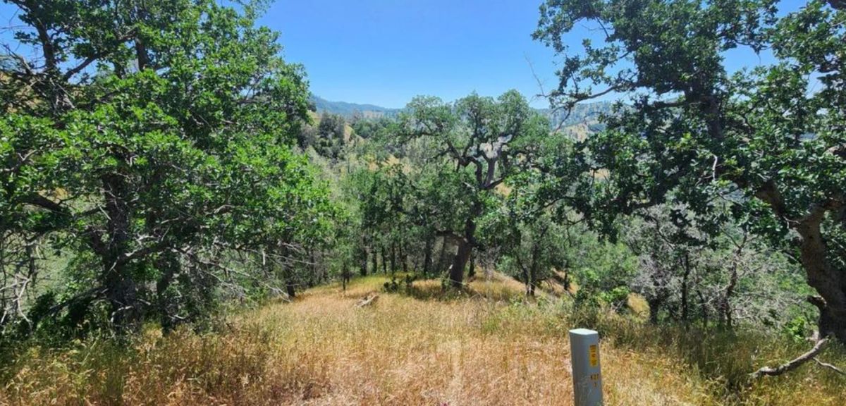 Decorative background for 39.36 Acres Of Picturesque Land In Coarsegold, CA image 6