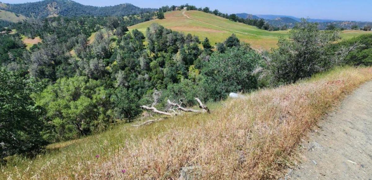 Decorative background for 39.36 Acres Of Picturesque Land In Coarsegold, CA image 9