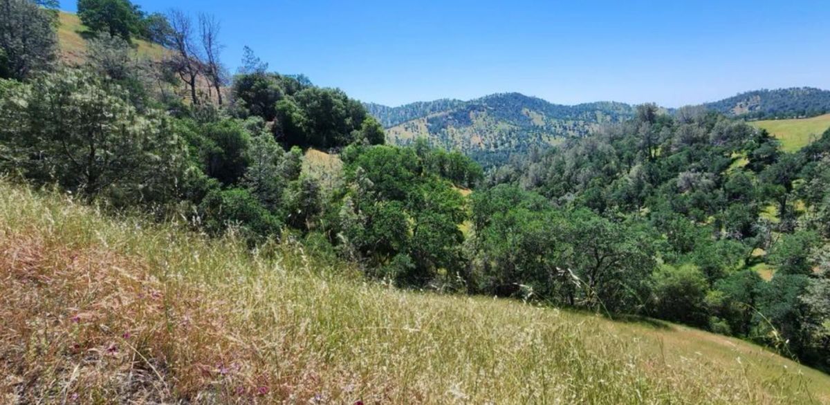 Decorative background for 39.36 Acres Of Picturesque Land In Coarsegold, CA image 10
