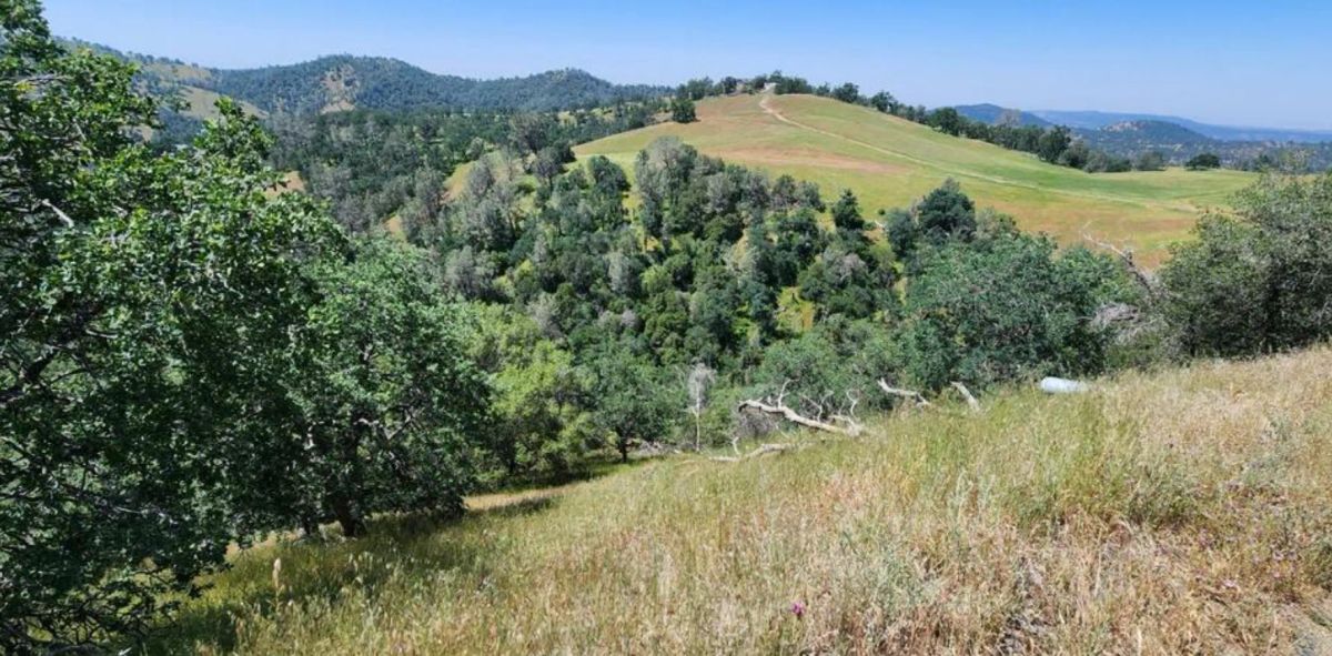 Decorative background for 39.36 Acres Of Picturesque Land In Coarsegold, CA image 11