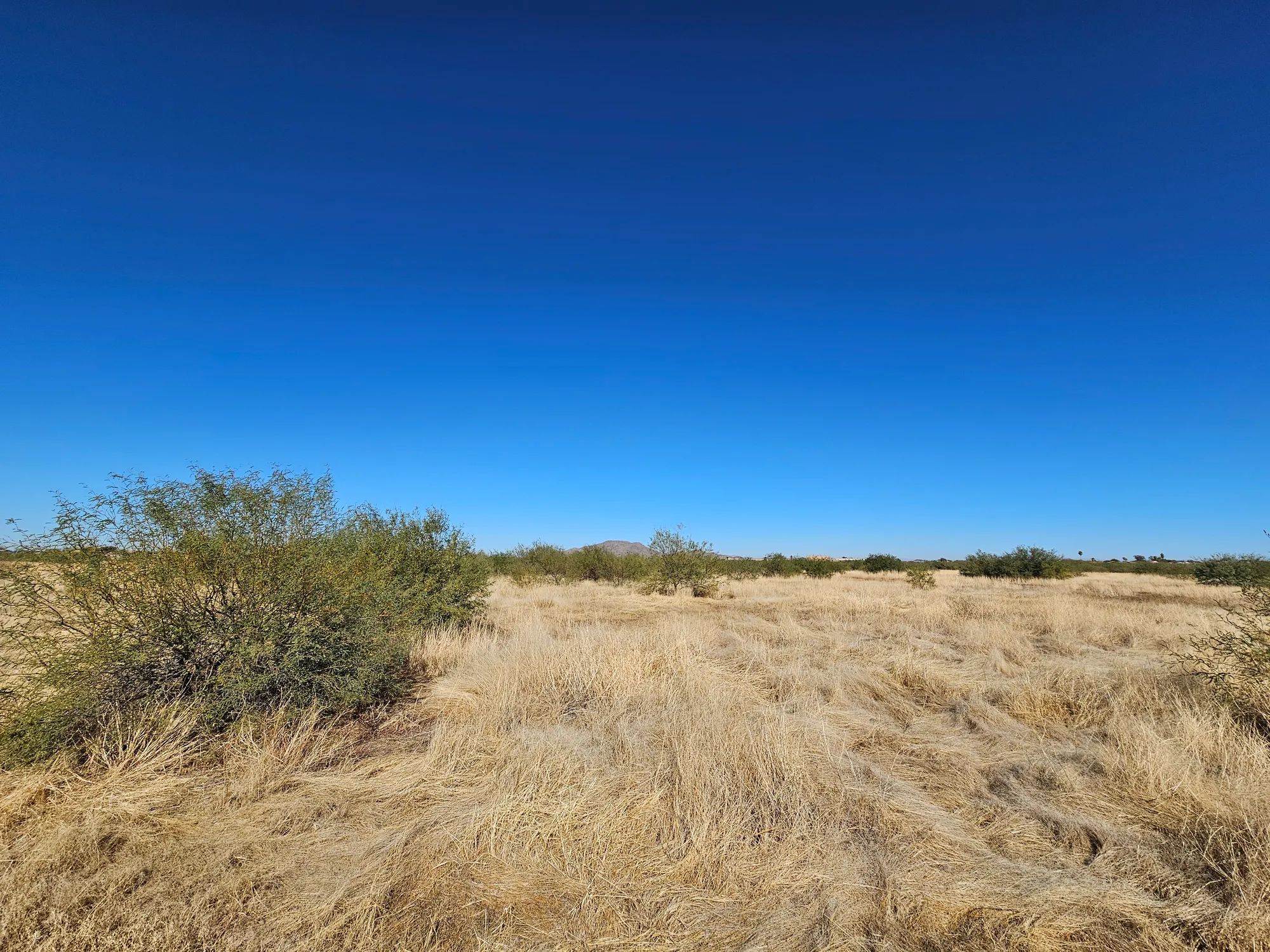 Level, Undeveloped Lot in Arizona City