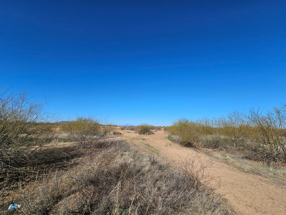 Decorative background for Level, Undeveloped Lot in Arizona City image 15