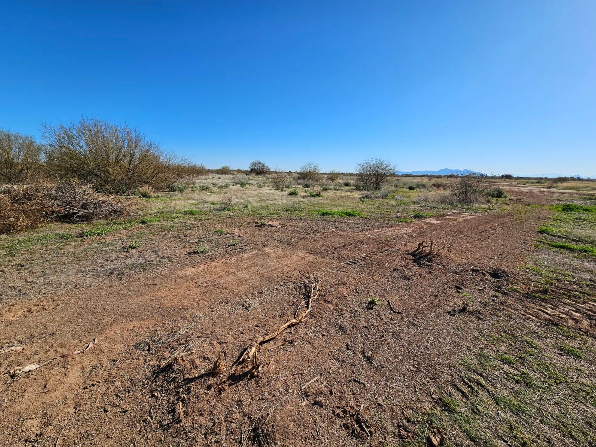 Decorative background for Level, Undeveloped Lot in Arizona City image 16