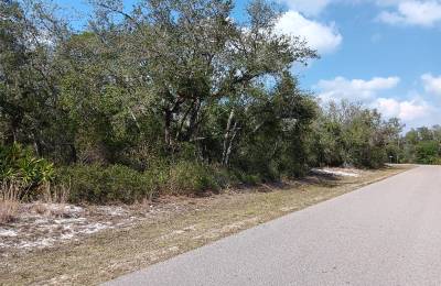 Undeveloped Single Family Residential Lot in Punta Gorda, FL