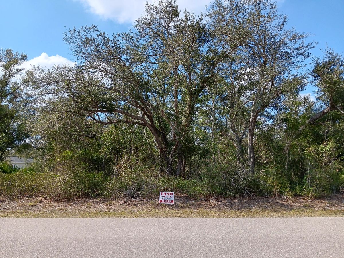 Undeveloped Single Family Residential Lot in Punta Gorda, FL - Image 2