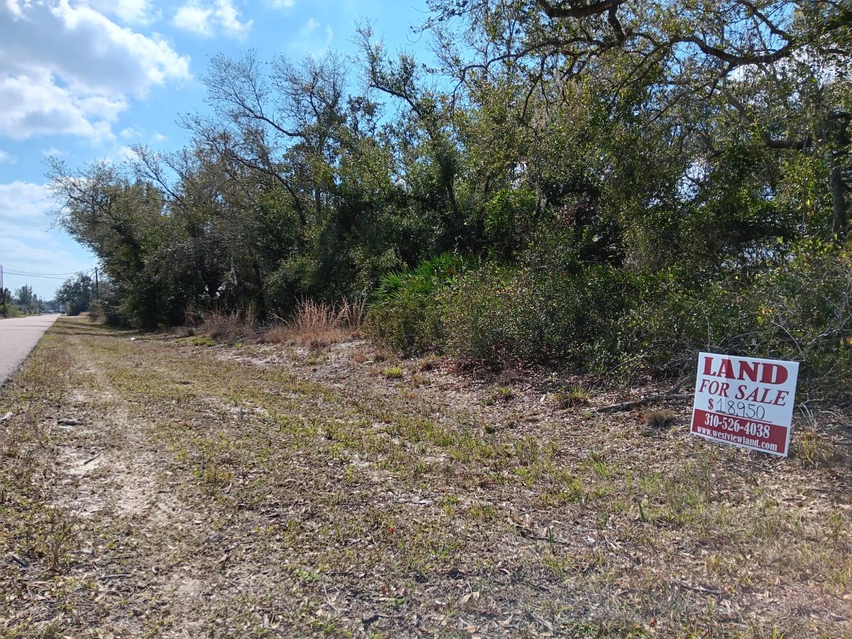 Undeveloped Single Family Residential Lot in Punta Gorda, FL - Image 3