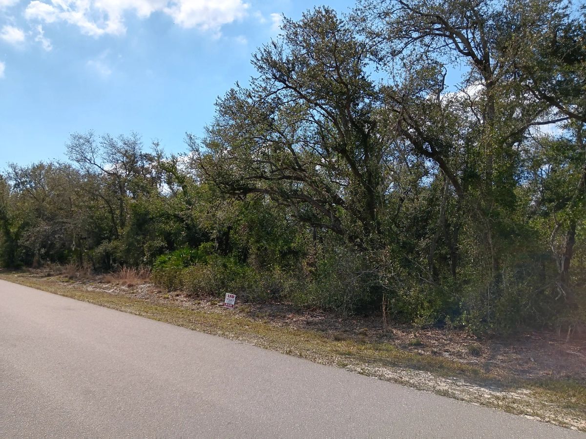 Undeveloped Single Family Residential Lot in Punta Gorda, FL - Image 4