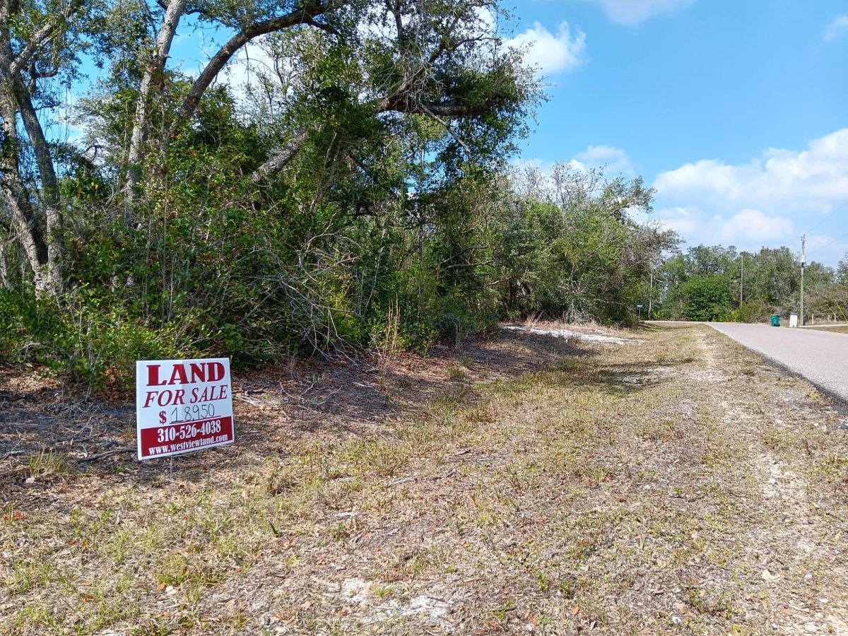 Decorative background for Undeveloped Single Family Residential Lot in Punta Gorda, FL image 5