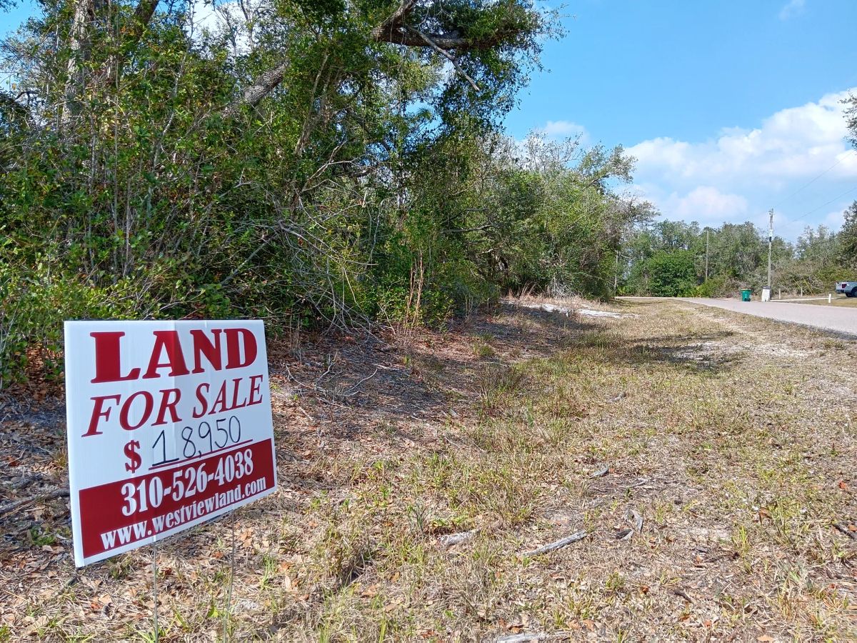 Decorative background for Undeveloped Single Family Residential Lot in Punta Gorda, FL image 6