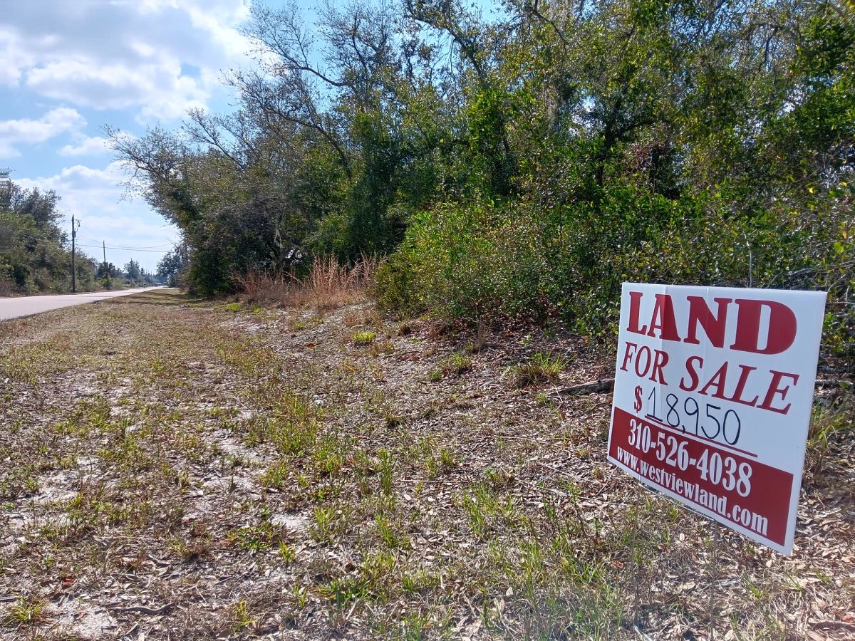 Decorative background for Undeveloped Single Family Residential Lot in Punta Gorda, FL image 7